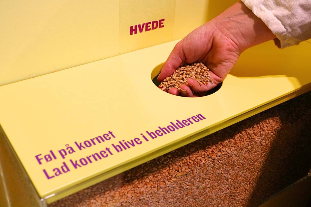 Foto fra udstillingen