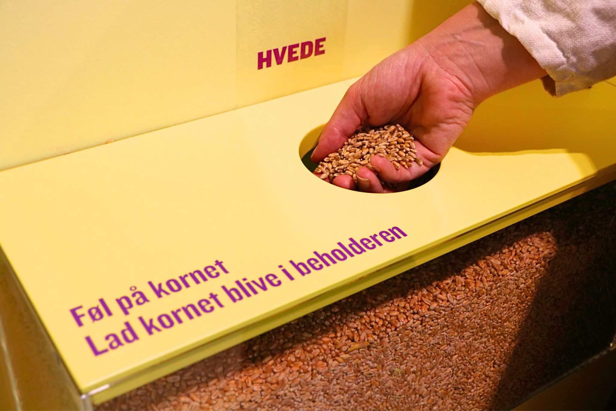 Foto fra udstillingen