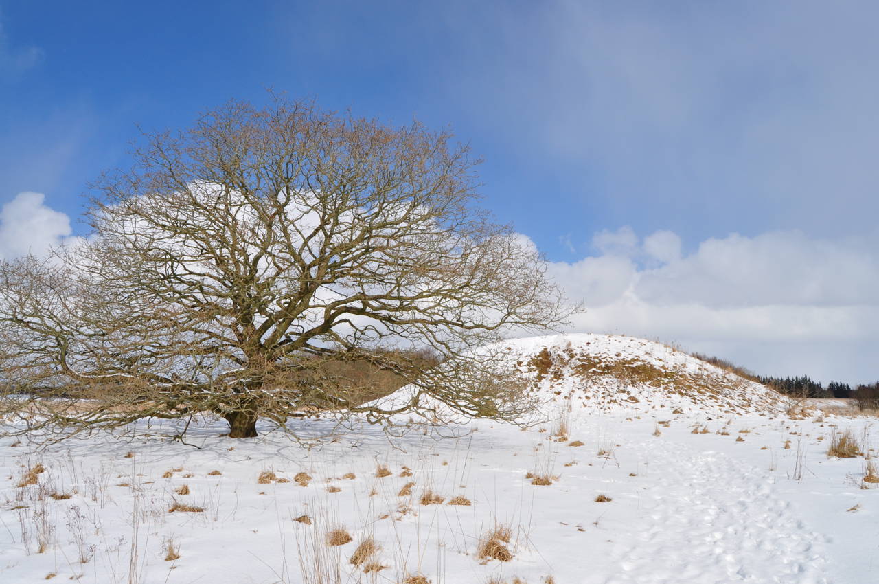 Egtvedpigens høj, vinter
