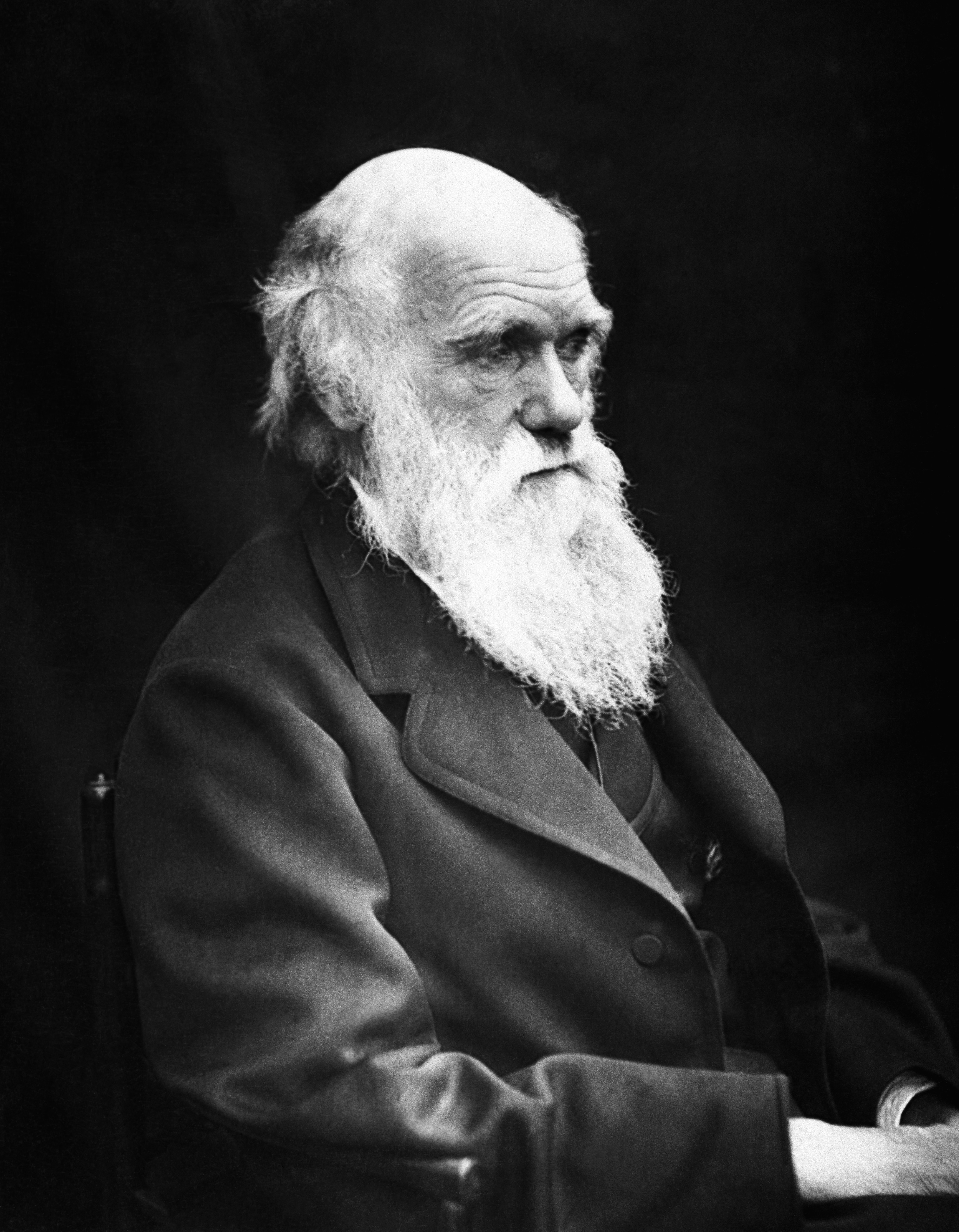 Charles Darwin (1809-1882). Foto: Wikimedia Commons.