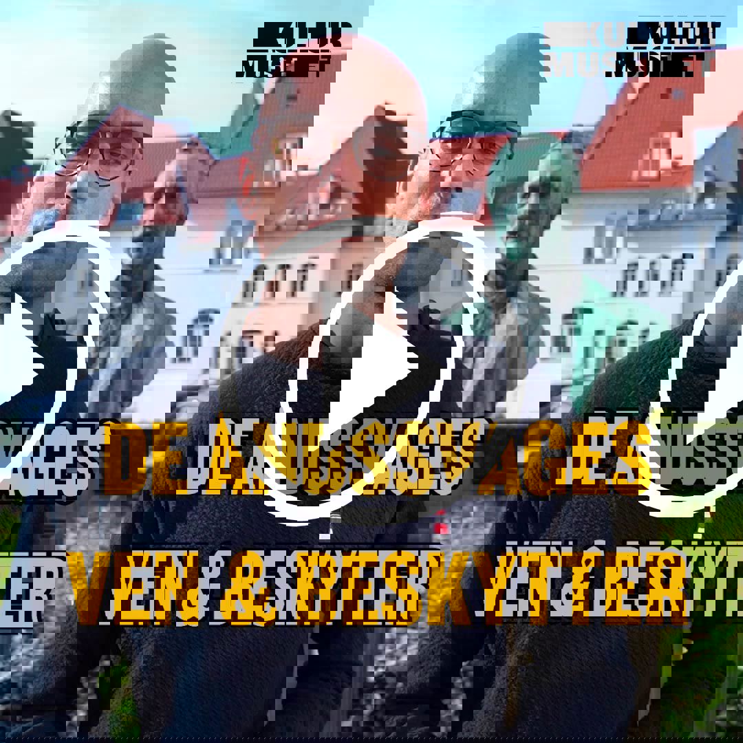 De Åndssvages Ven Og Beskytter