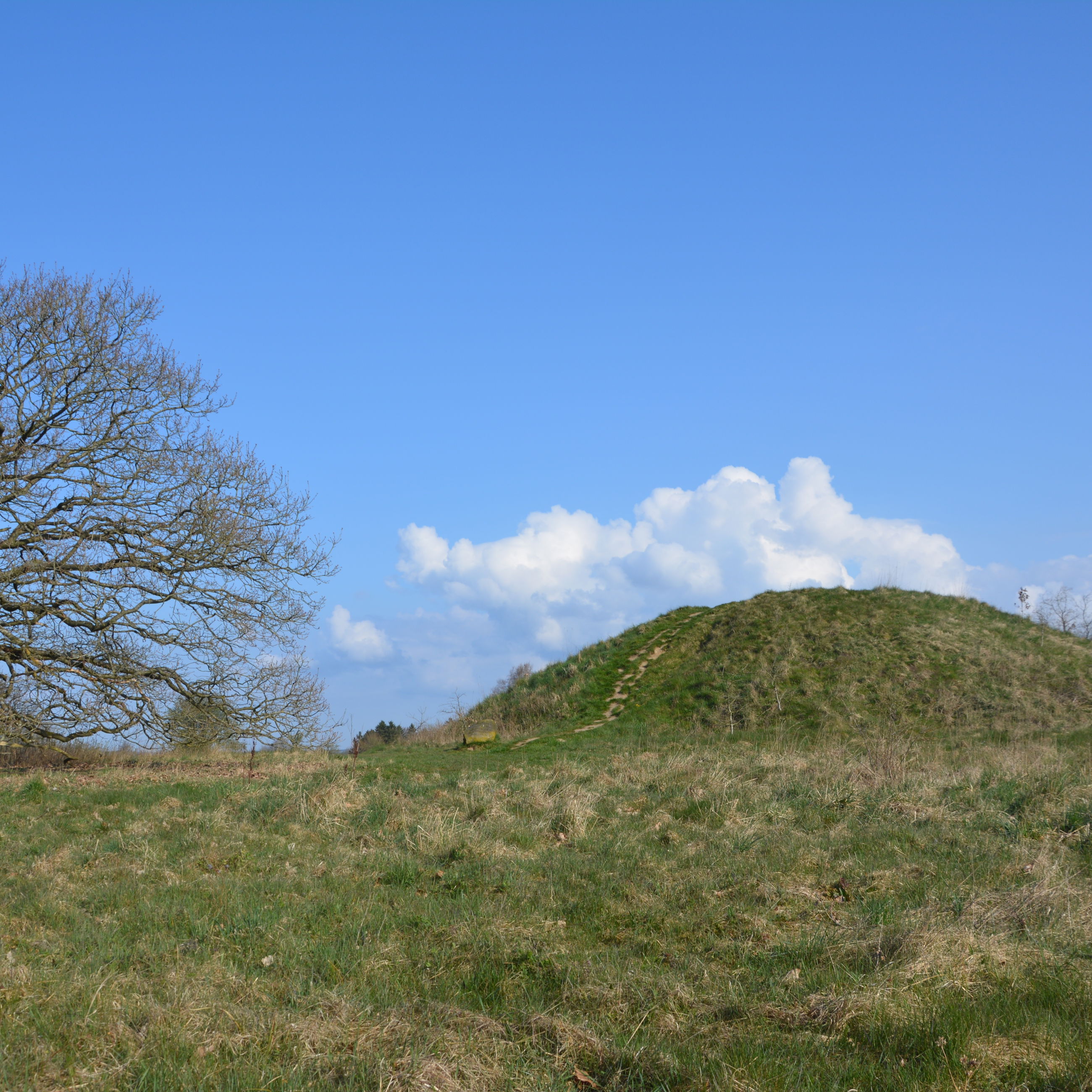 Egtvedpigens høj, forår
