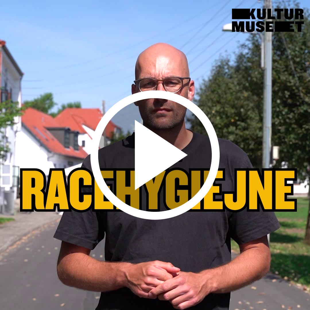 Hvad er racehygiejne