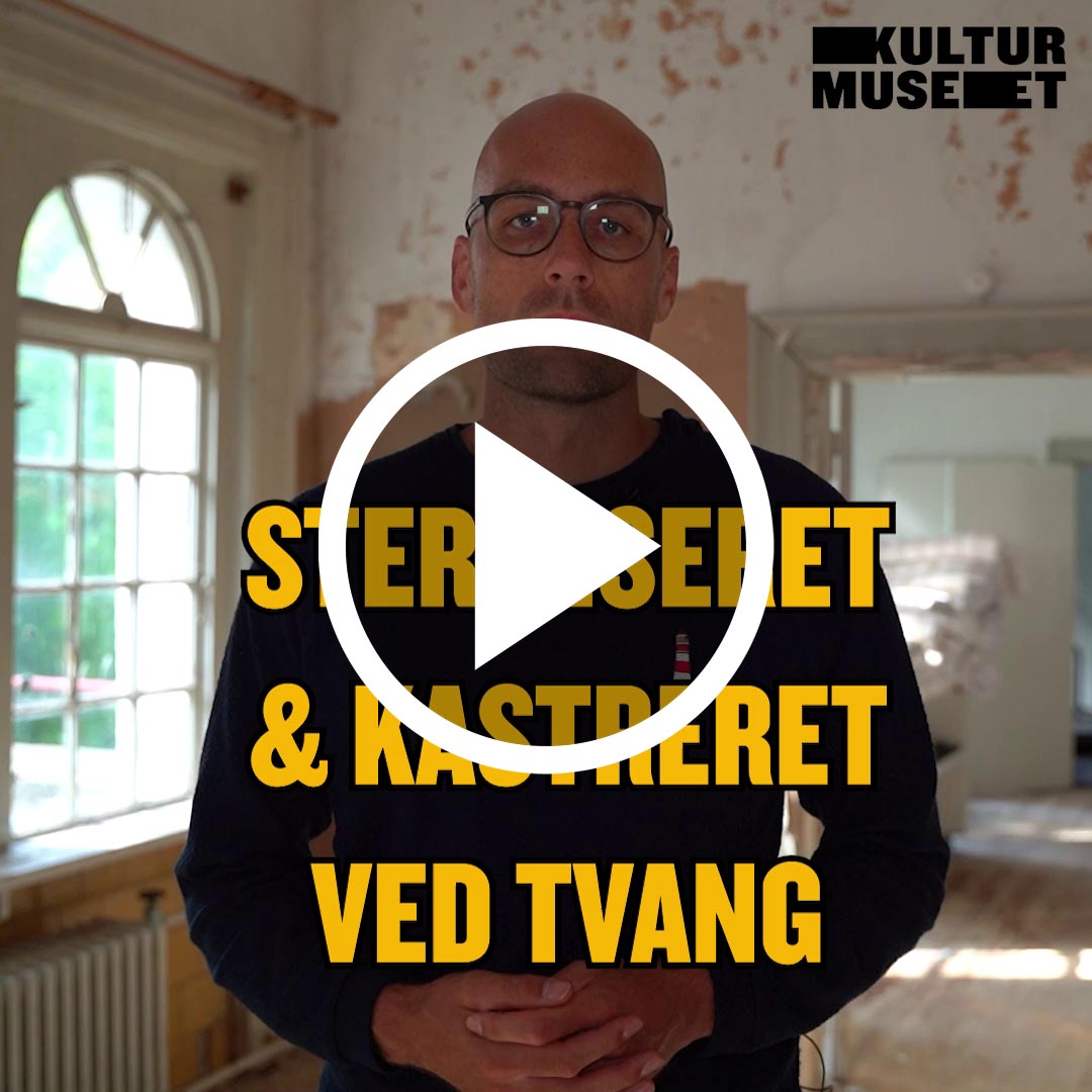 Steriliseret Og Kastreret Ved Tvang