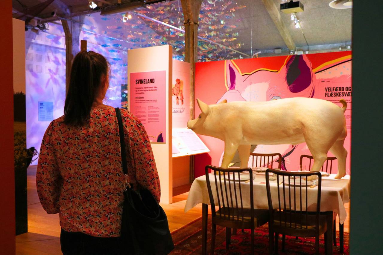 Foto fra udstillingen